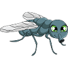 Fly