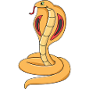 Cobra Snake