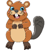Beaver