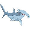 Requin marteau