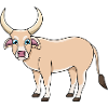 Ox