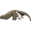 Anteater