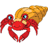 Hermit crab