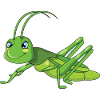 Grasshopper