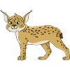 Lynx