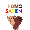 We Are All Homo Sapiens