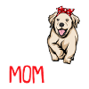 Golden Retriever | Golden Retriever