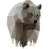 Animal Brown Bear Wild