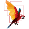 Bird Animal Jungle