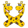 Giraffes Giraffe