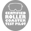 Rollercoaster Roller Coaster