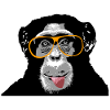Chimpanzee - Monkey