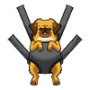 Tibetaanse Spaniel Hond Tibetaanse Spaniel
