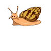 Comic Agate Snails - Snails