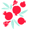 Pomegranates fruit
