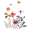 Bunte Blumenwiese
