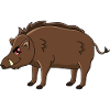 Wild boar