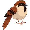 Spatz