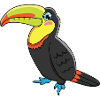 Toucan