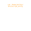 Katzenbesitzer Katzen Programmierer Informatik