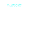 Katzenbesitzer Programmierer Coder Informatiker