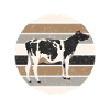 Vaches Vaches Agriculture Ferme