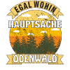 HAUPTSACHE ODENWALD