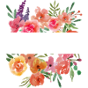 Nope Non