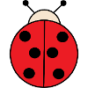 sweet ladybug🐞