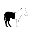 I defragged my Zebra Coder Computer Scientist Hacker