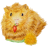 Cobayes