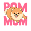 Pomeranian Pomeranian Chien cadeau