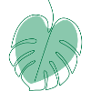 Monstera
