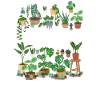 Plant Nerd