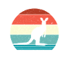 Kangaroo Marsupials Kangaroos Marsupial Mammals
