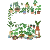 Plant Dad