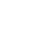 Pedelec 2 Manfrd