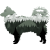 Australian Shepherd Silhouette Landschaft