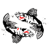 Koi carp in doubles