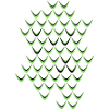 Snake skin