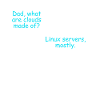 Coder Software Developer Witz Cloud Linux Server