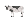 Cow Cows Agriculture Farm