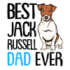 Jack Russell Terrier