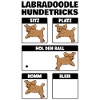 Labradoodle Hundetricks Goldendoodle Geschenk