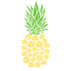 Beach Volley Ananas - Volley-ball Ananas