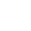 Master of Schnitzel