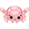 Spinne mimi