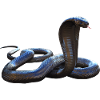 Viper snake