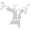Freedom fighter