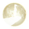 Suricate Lune